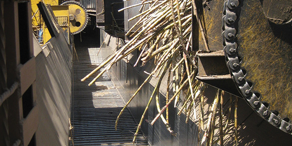 Main Cane and Auxilliary Carrier Chains