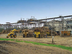 newsletter-sugar-industry