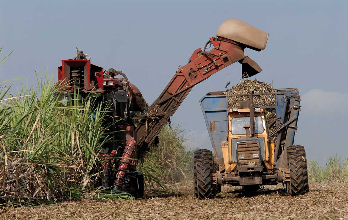 Cane Harvester Chains John King Chains